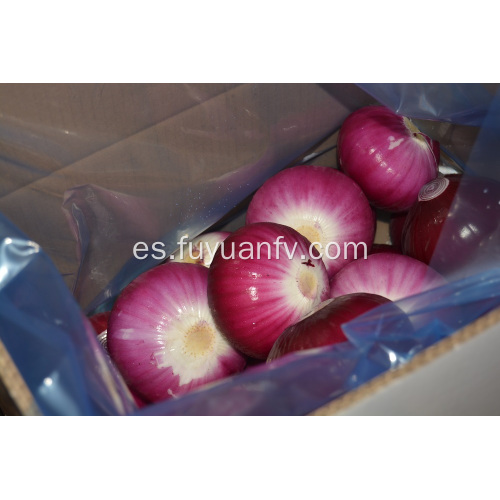 Pelado, cebolla roja, mercado australia